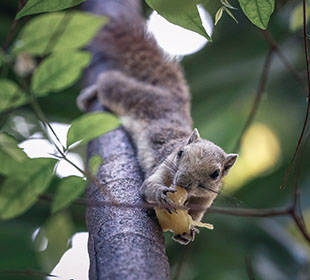 攻击网站服务器